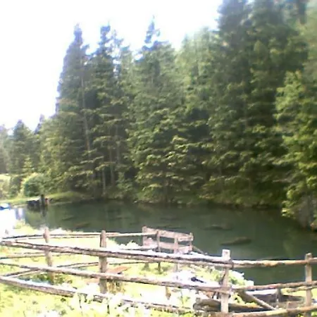 Almhutte Gollialm Agroturismo Oberwoelz Stadt